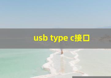 usb type c接口